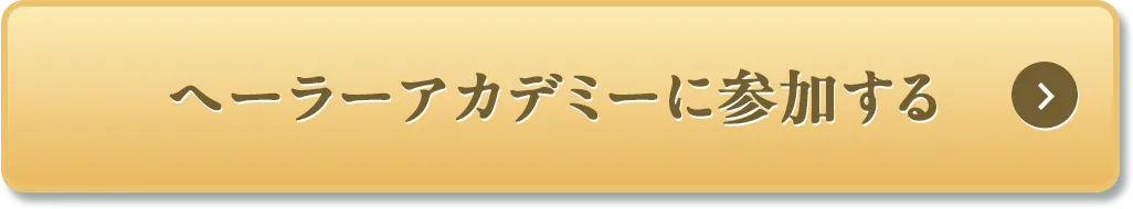 ヘーラーアカデミーに参加する
